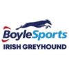 Irish Greyhound Derby